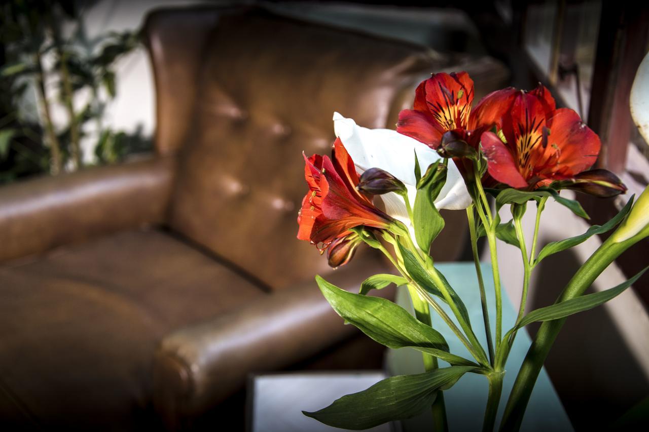 York Vintage Bed & Breakfast La Paz Dış mekan fotoğraf